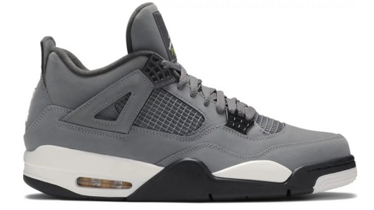 Air Jordan 4 Retro Cool Grey 2019